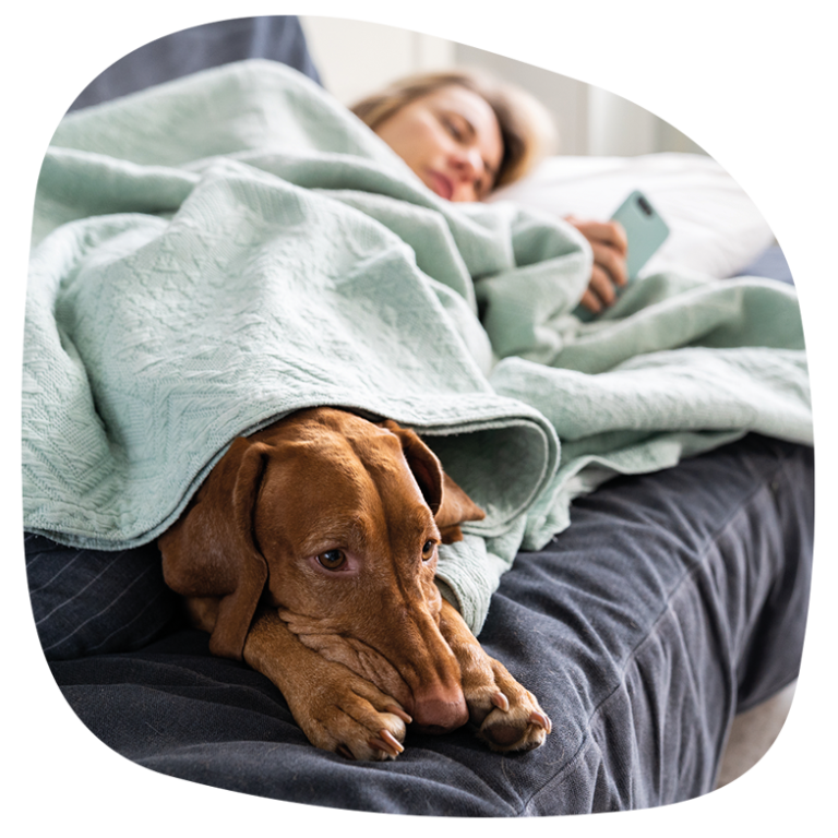 Bequem online bestellen